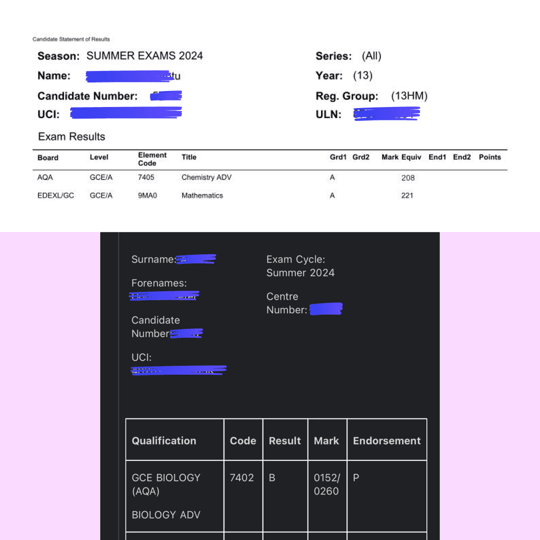 Y13 Retake A-Level Student